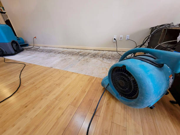 Professional Structural Drying technician working in Silver Creek, NY